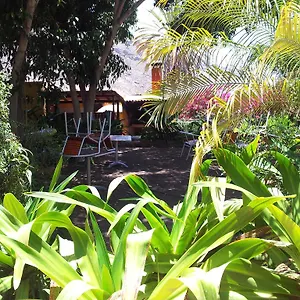 El Jardin , Mogán España